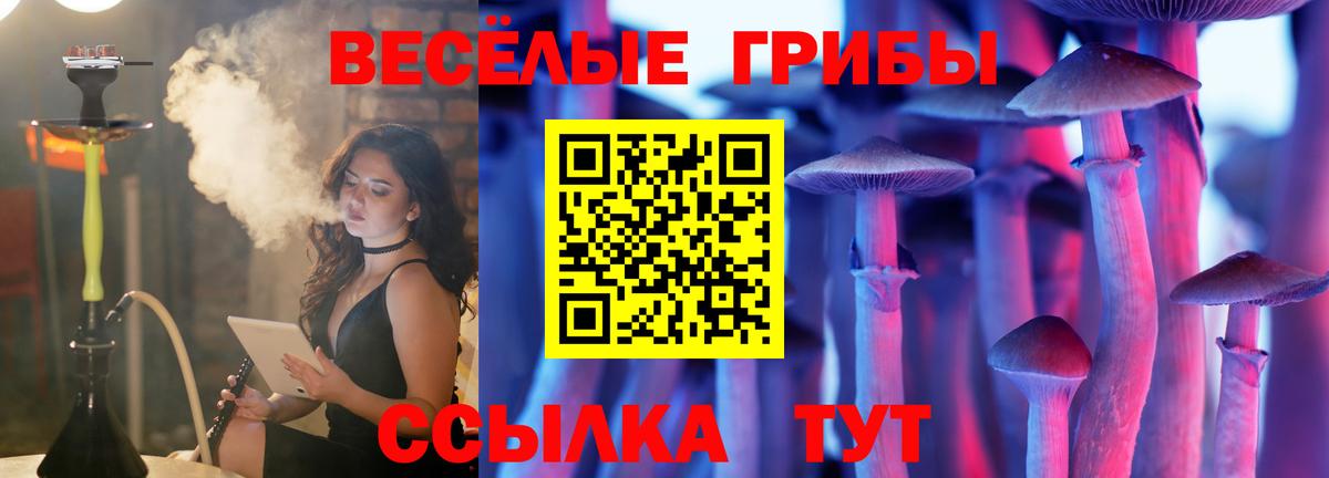 закладка  Вход с VPN  Грязи  Галлюциногенные грибы ЛСД 